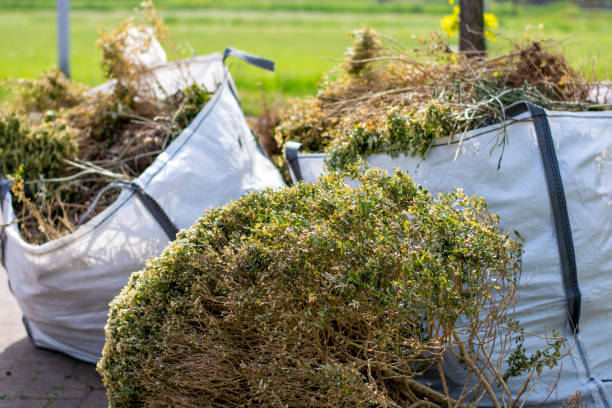 Best Office Junk Removal  in Weirton, WV