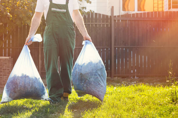 Best Professional Junk Removal  in Weirton, WV